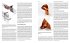 3D Printing and Material Extrusion in... - Bild 3