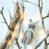 Strick-Lieblinge Adventskalender.... - Bild 3