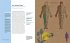 Anatomie und Medizin in 30 Sekunden - Bild 2