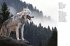 Wolves - Bild 3
