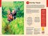 Lonely Planet Indonesia - Bild 3
