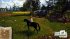 Ostwind: Beginn einer wunderbaren... - Bild 5