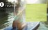 HOLIDAY Reisebuch: SUP - Die große... - Bild 7
