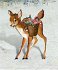 A4-Wand-Adventskalender -... - Bild 2