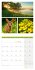 Colours of Nature Kalender 2025 - 30x30 - Bild 6