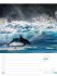 Planet Erde - Landschaften der Welt -... - Bild 17