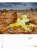 Planet Erde - Landschaften der Welt -... - Bild 38