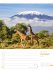 Planet Erde - Landschaften der Welt -... - Bild 42