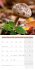 Pilze Kalender 2025 - 30x30 - Bild 13