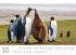 Pinguine Kalender 2025 - Bild 11