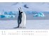 Pinguine Kalender 2025 - Bild 12