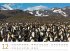 Pinguine Kalender 2025 - Bild 13