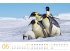 Pinguine Kalender 2025 - Bild 7