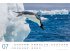 Pinguine Kalender 2025 - Bild 8