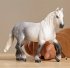 Schleich 13971 - Farm World, Percheron... - Bild 2