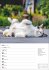 Katzen Wochenplaner 2025 - 53 Blatt mit... - Bild 6