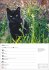 Katzen Wochenplaner 2025 - 53 Blatt mit... - Bild 7