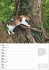 Katzen Wochenplaner 2025 - 53 Blatt mit... - Bild 8