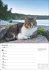 Katzen Wochenplaner 2025 - 53 Blatt mit... - Bild 9