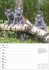 Katzen Wochenplaner 2025 - 53 Blatt mit... - Bild 10
