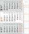 3-Monatsplaner, orange 2025 - Bild 10