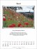 Der Hundertjährige Kalender 2025 - Kalender bei bücher.de bestellen