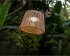 New Garden OKINAWA 40 HANG - Bild 3