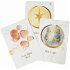 Maya Astro Cards: 44 astrological... - Bild 3