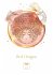 Maya Astro Cards: 44 astrological... - Bild 7