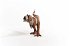 schleich® Dinosaurs 15032 Majungasaurus - Bild 3