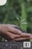 The Fragile Earth Navigating the Global... - Bild 2