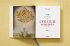 The Book of Colour Concepts - Bild 17