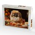 CALVENDO Puzzle Lieblicher Pekinese am... - Bild 3