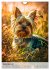 Yorkshire Terrier - ein Hund mit... - Bild 15