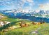 Eurographics 6000-5705 - Mountain Elks,... - Bild 2