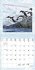 Achtung wild - Tiere aus aller Welt 2025 - Bild 2