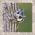 Achtung wild - Tiere aus aller Welt 2025 - Bild 12