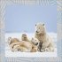 Achtung wild - Tiere aus aller Welt 2025 - Bild 13
