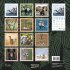 Achtung wild - Tiere aus aller Welt 2025 - Bild 14