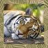 Achtung wild - Tiere aus aller Welt 2025 - Bild 9