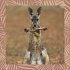 Achtung wild - Tiere aus aller Welt 2025 - Bild 10
