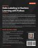 Data Labeling in Machine Learning with... - Bild 2