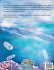 Ocean Rescue - Bild 2