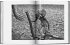 Sebastião Salgado. Workers. An... - Bild 14