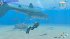 Endless Ocean Luminous (Nintendo Switch) - Bild 3