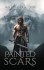 PAINTED SCARS - Bild 2