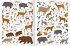 Naturforscher-Kids - Stickerheft Im Wald - Bild 5