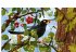 Die große Welt der Krabbeltiere - Bild 4
