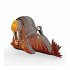 EUGY 650107 - 3D Bastelset Walross - Bild 4