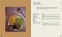 Tunesisch vegan - Bild 6